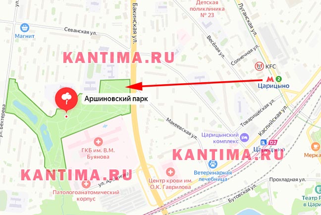 Аршиновский парк Шишка на входе