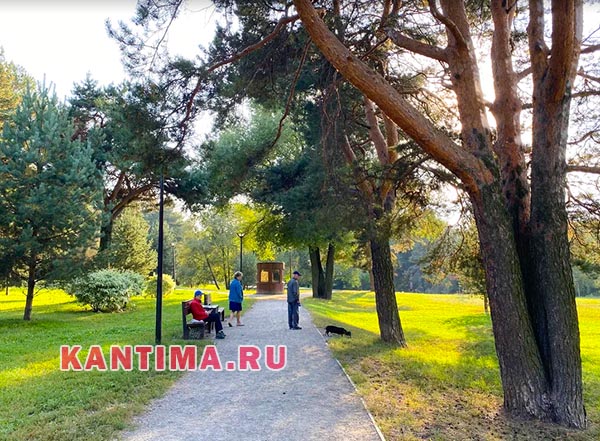 Аршиновский парк в Москве