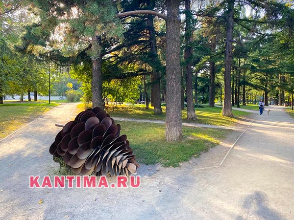 Аршиновский парк Шишка на входе